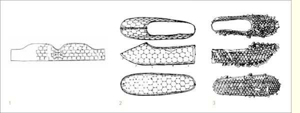 jkaa-1-46-f004.tif